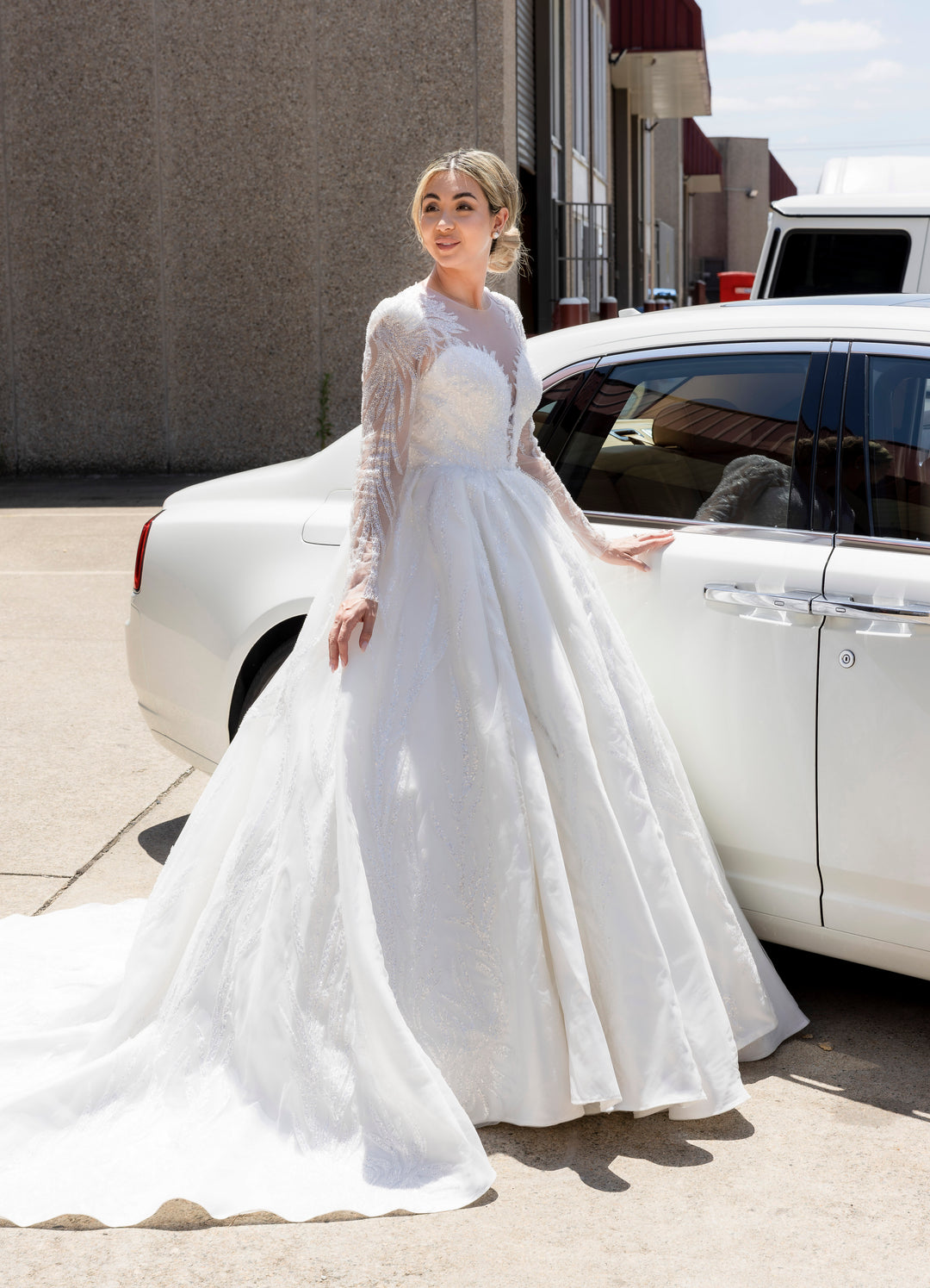 Ball Gown Wedding Dresses